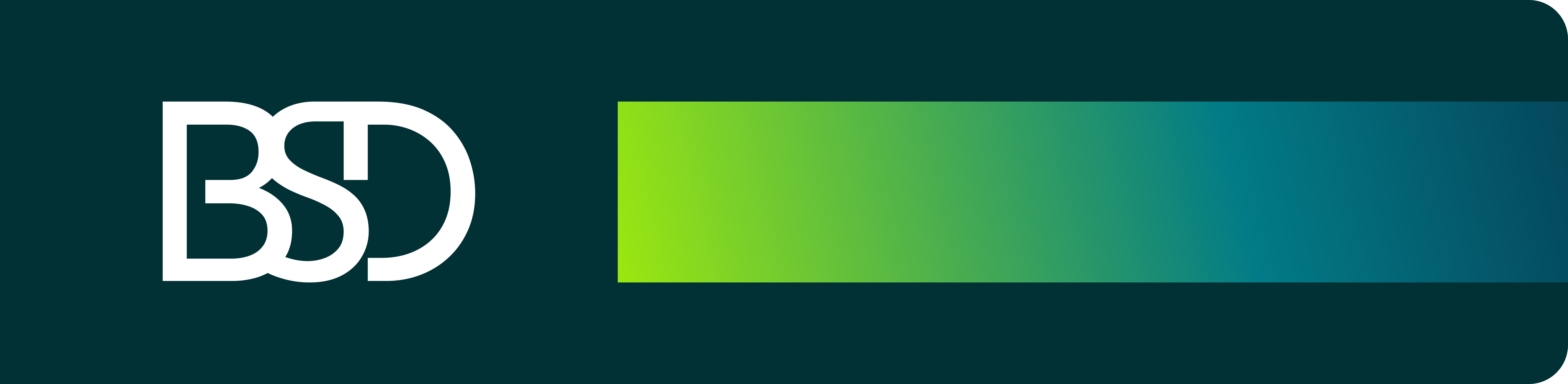 BSD Tide Logo